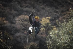 zipline, zip, line-Adventure Assemble